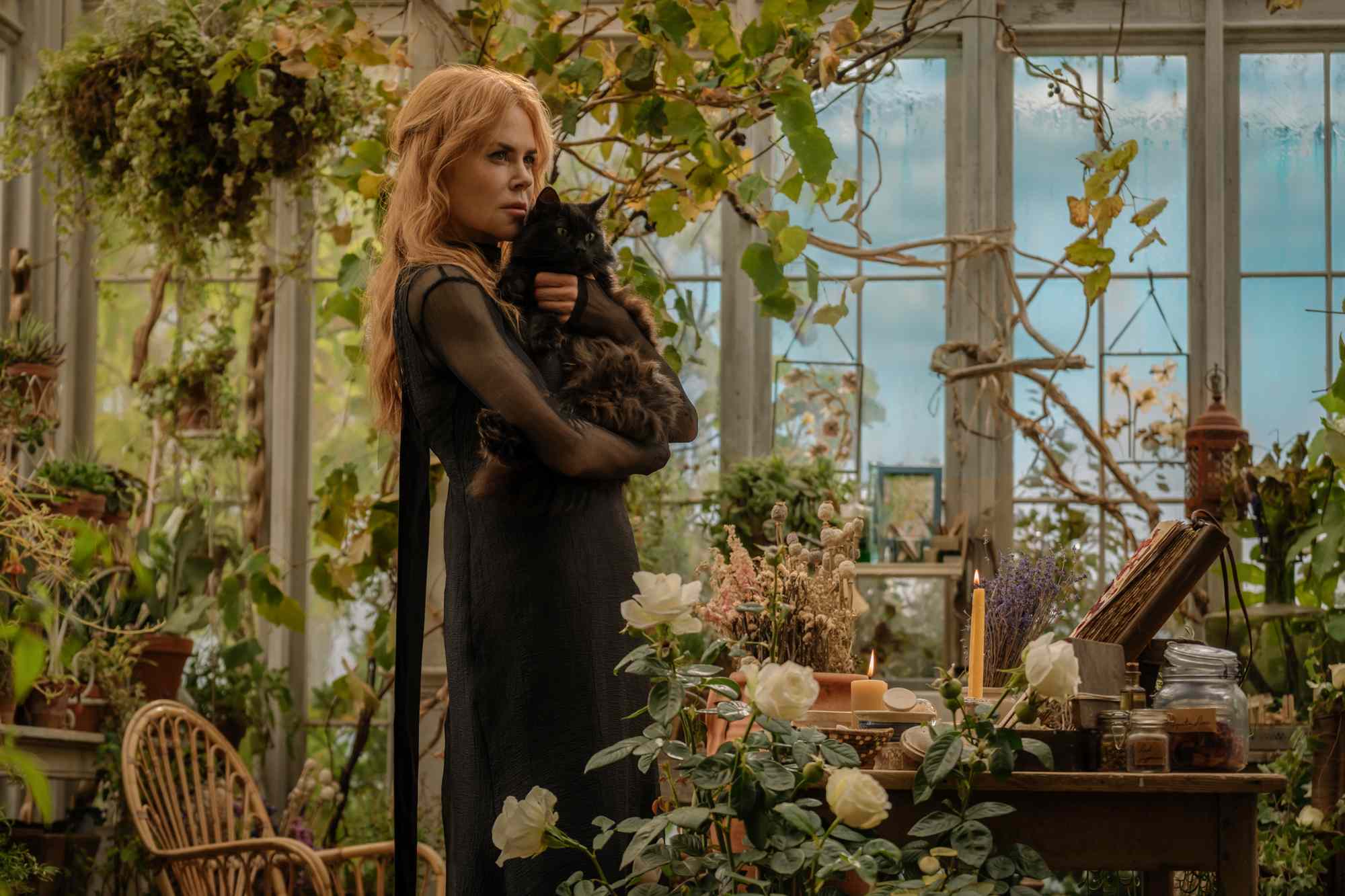 Practical Magic 2 - Official Teaser Trailer - Warner Bros. UK & Ireland